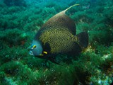 Pousada em Fernando de Noronha